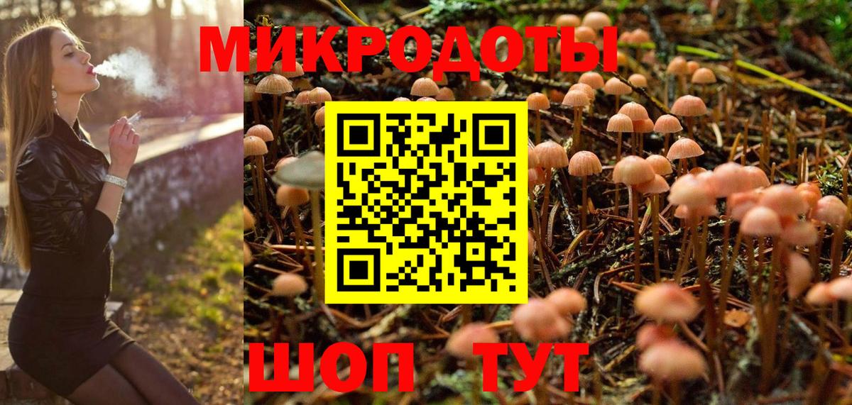 Галлюциногенные грибы Cubensis Коркино