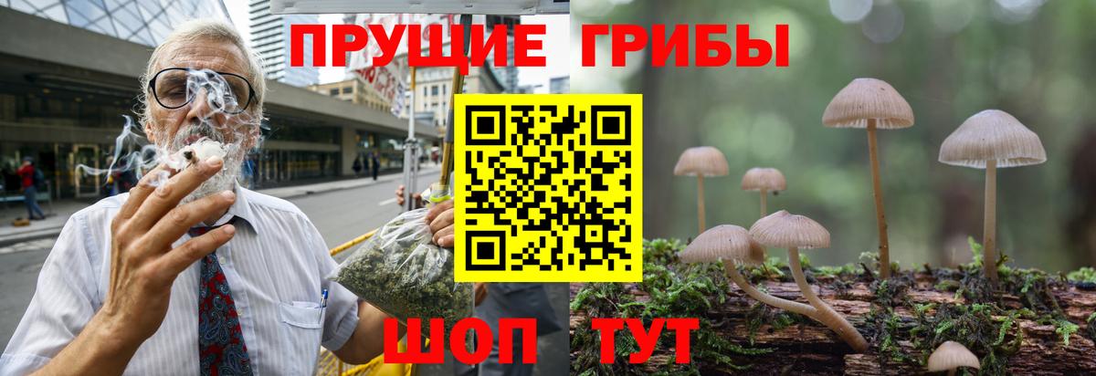 Псилоцибиновые грибы мухоморы  Вход с VPN  Псилоцибиновые грибы мицелий  Коркино 